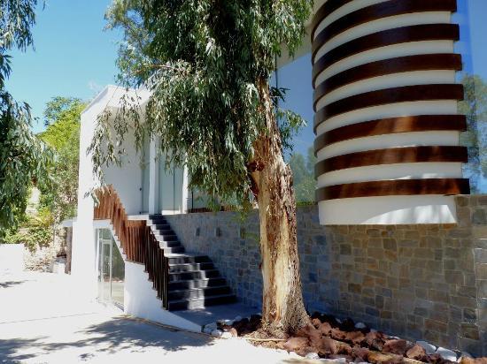 Restaurante Asador Parque